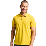 W41 OCHER